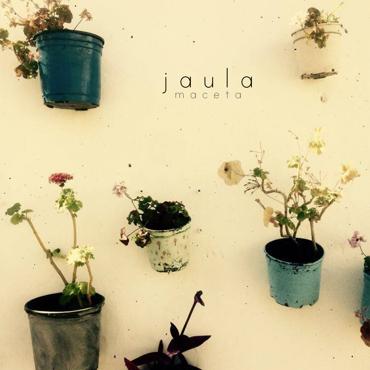 jaula – maceta