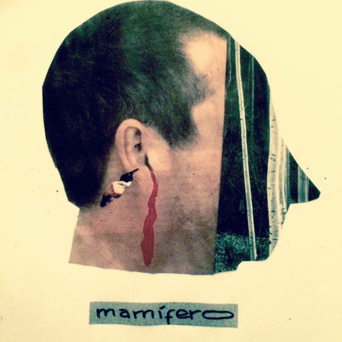 mamífero – mamífero