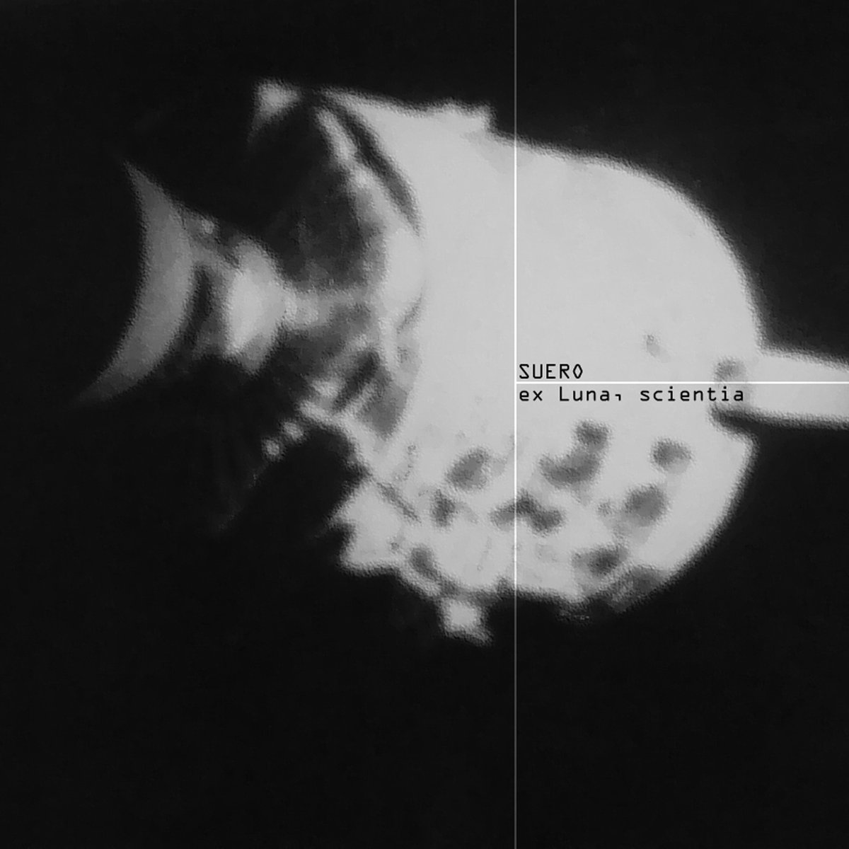 suero – ex luna, scientia